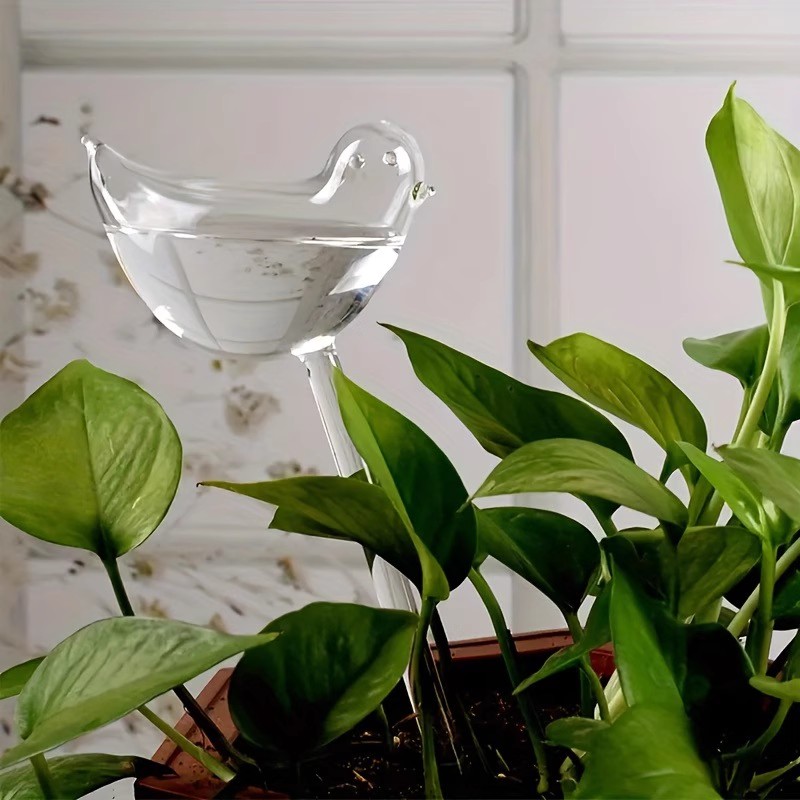 كرات سقي ذاتية على شكل طائر لل - مراجعة Automatic Plant Waterer وسعره