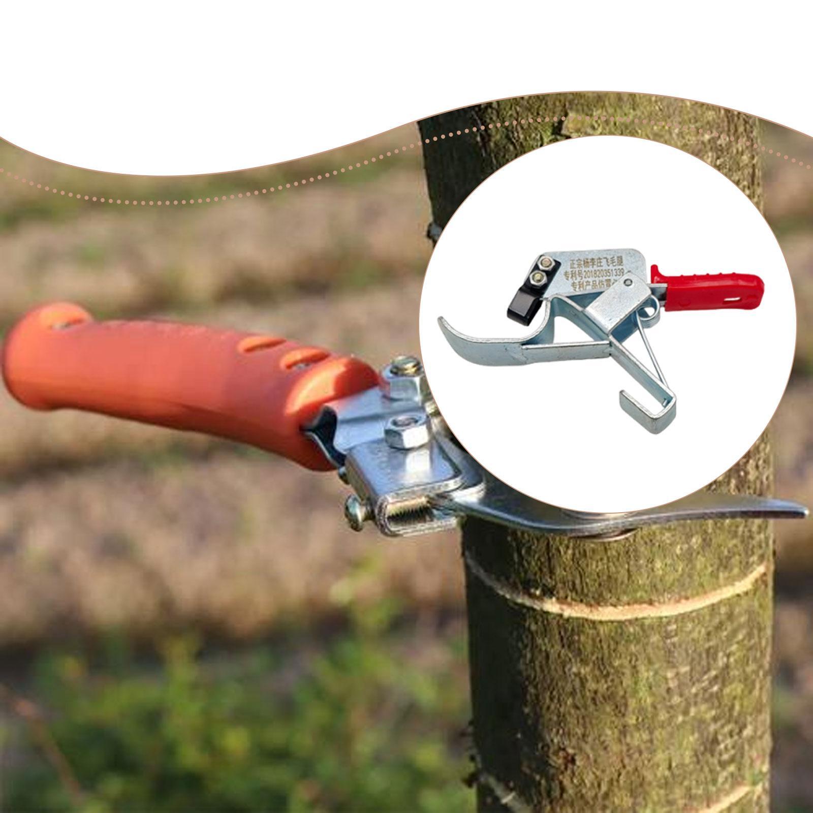 أداة تقويس أشجار الفاكهة، أداة - مراجعة Gardening Tools Essential وسعره