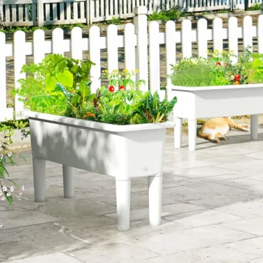 مجموعة من حوضين لزراعة النباتا - مراجعة Self-Watering Planter وسعره